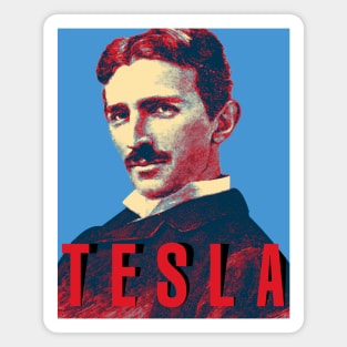 Nikola Tesla Magnet